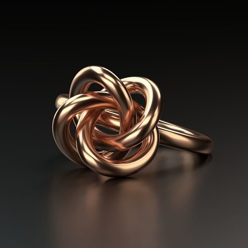 Perfect Knot Ring 3D print model