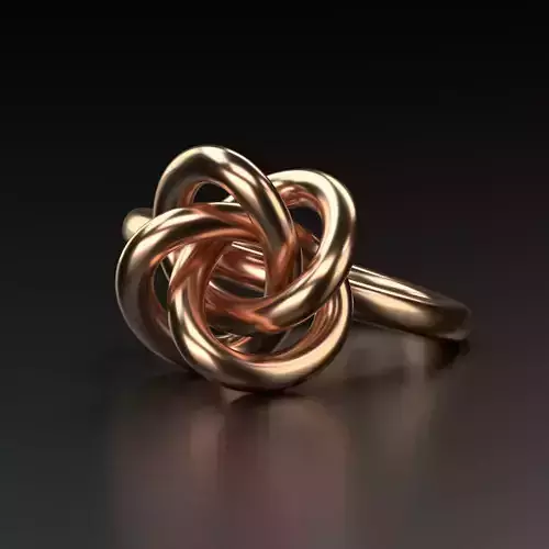 Perfect Knot Ring 3D print model