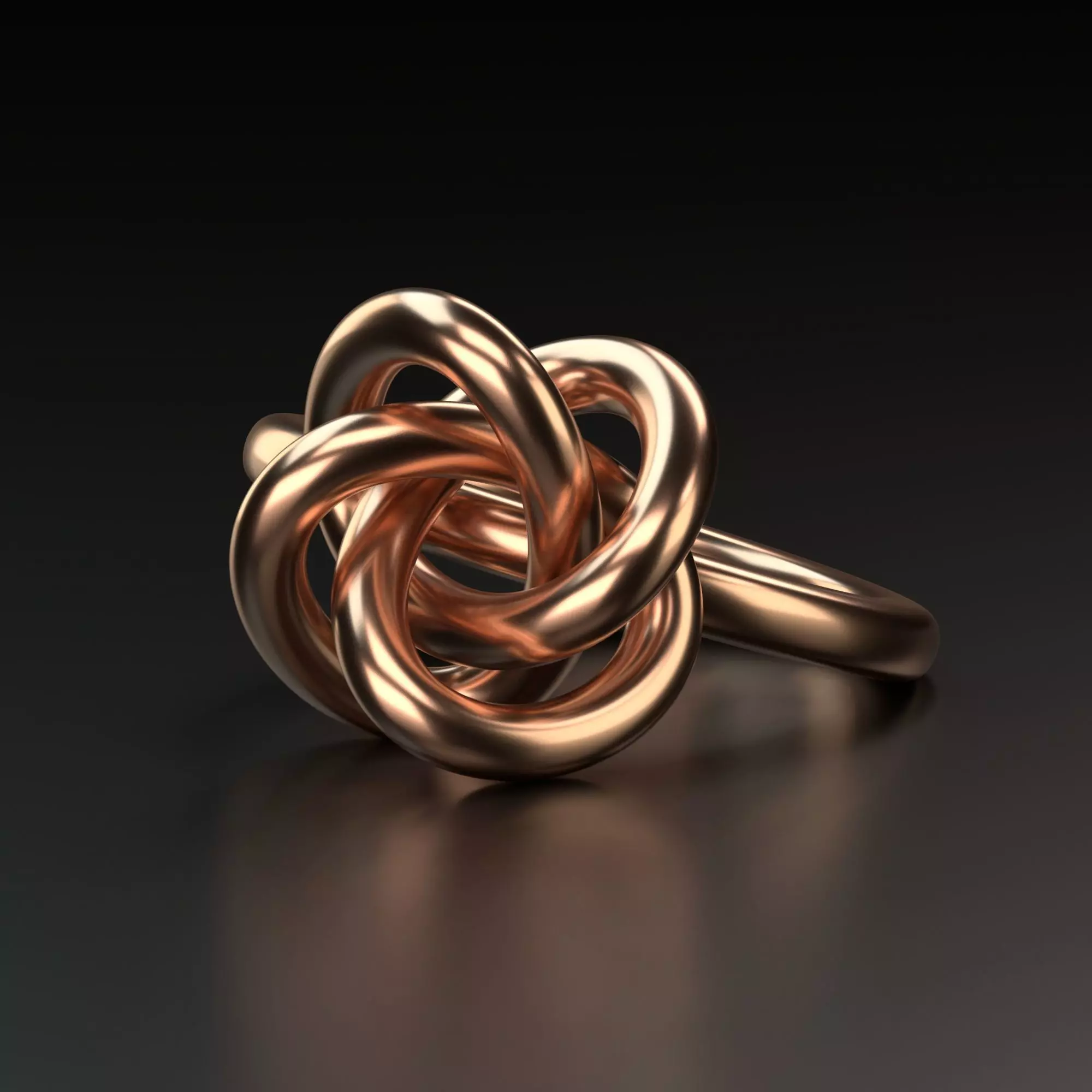 Perfect Knot Ring 3D print model_0