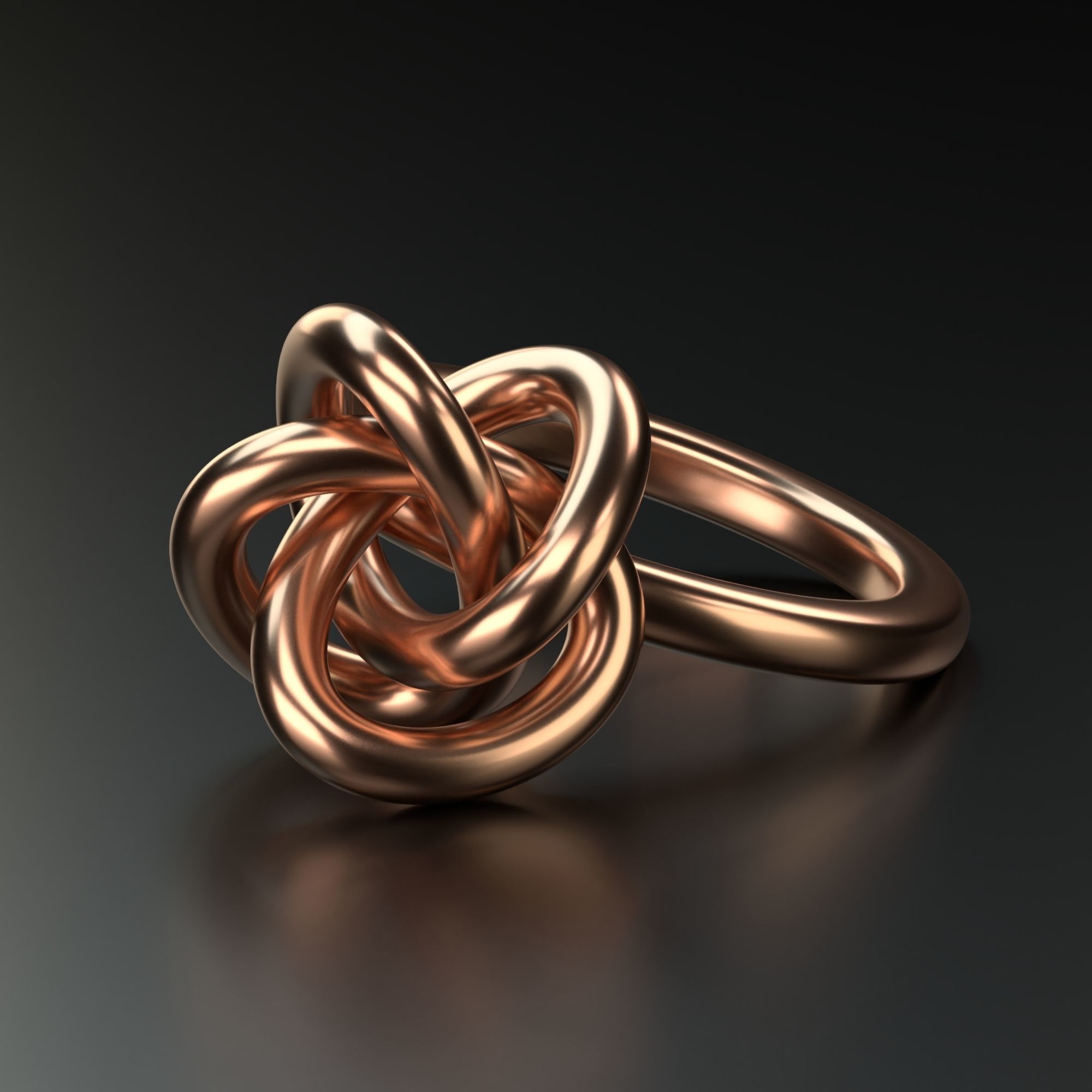 Perfect Knot Ring 3D print model_2