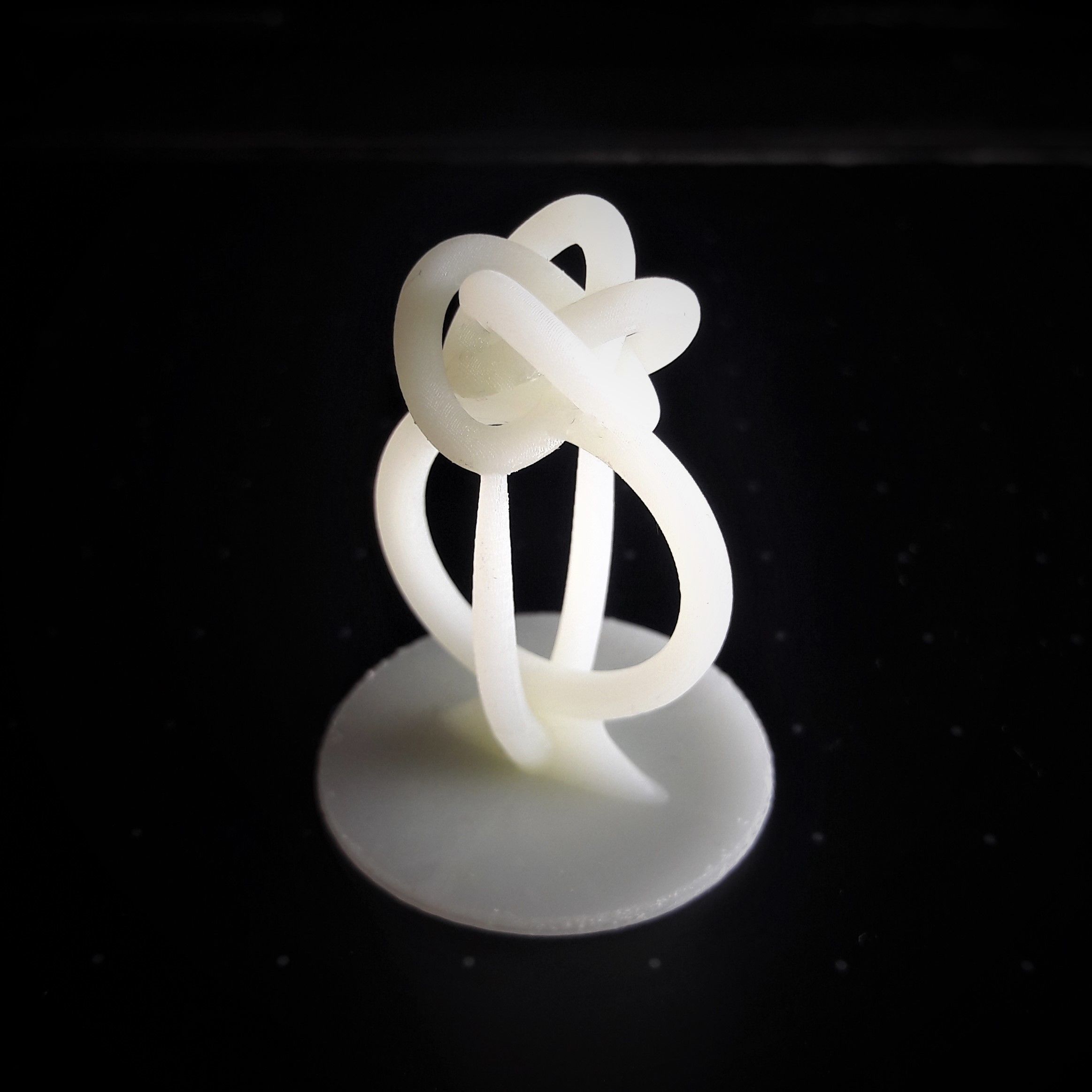 Perfect Knot Ring 3D print model_10