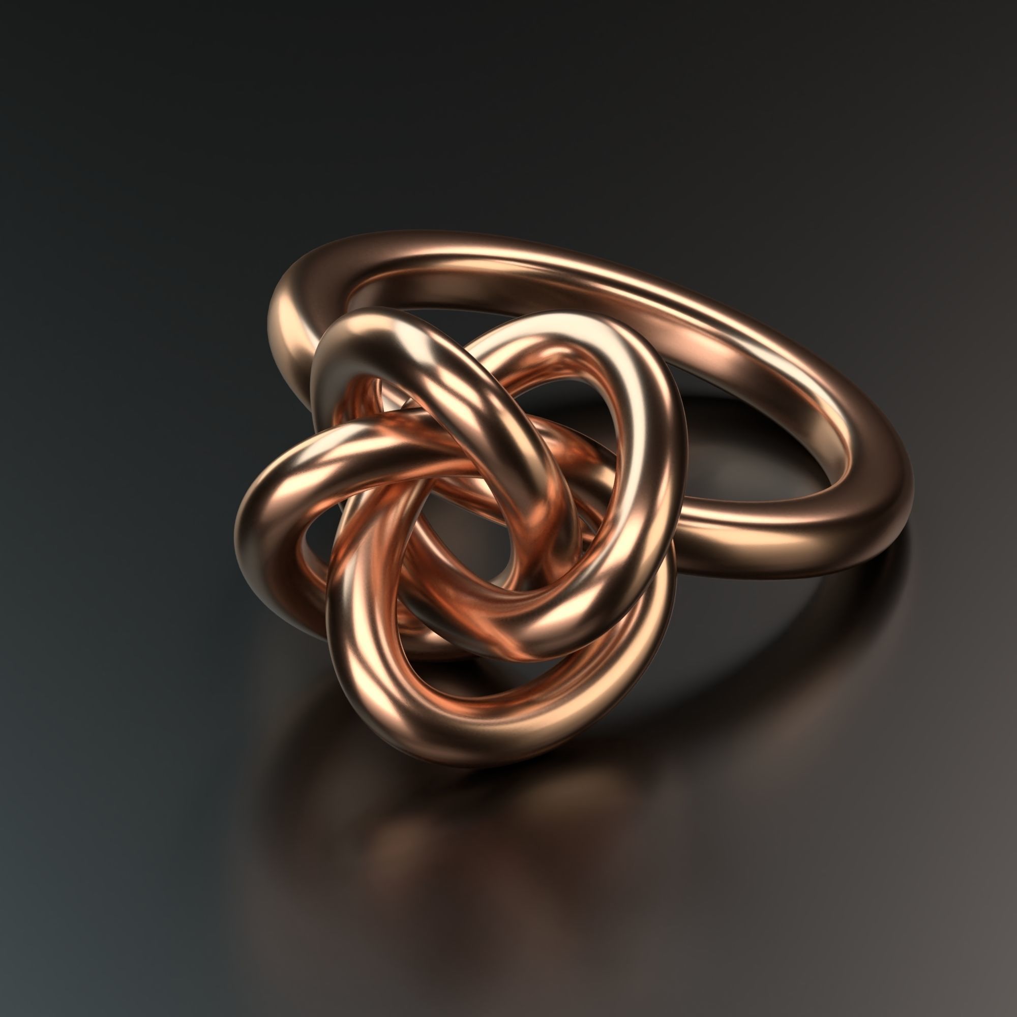 Perfect Knot Ring 3D print model_3