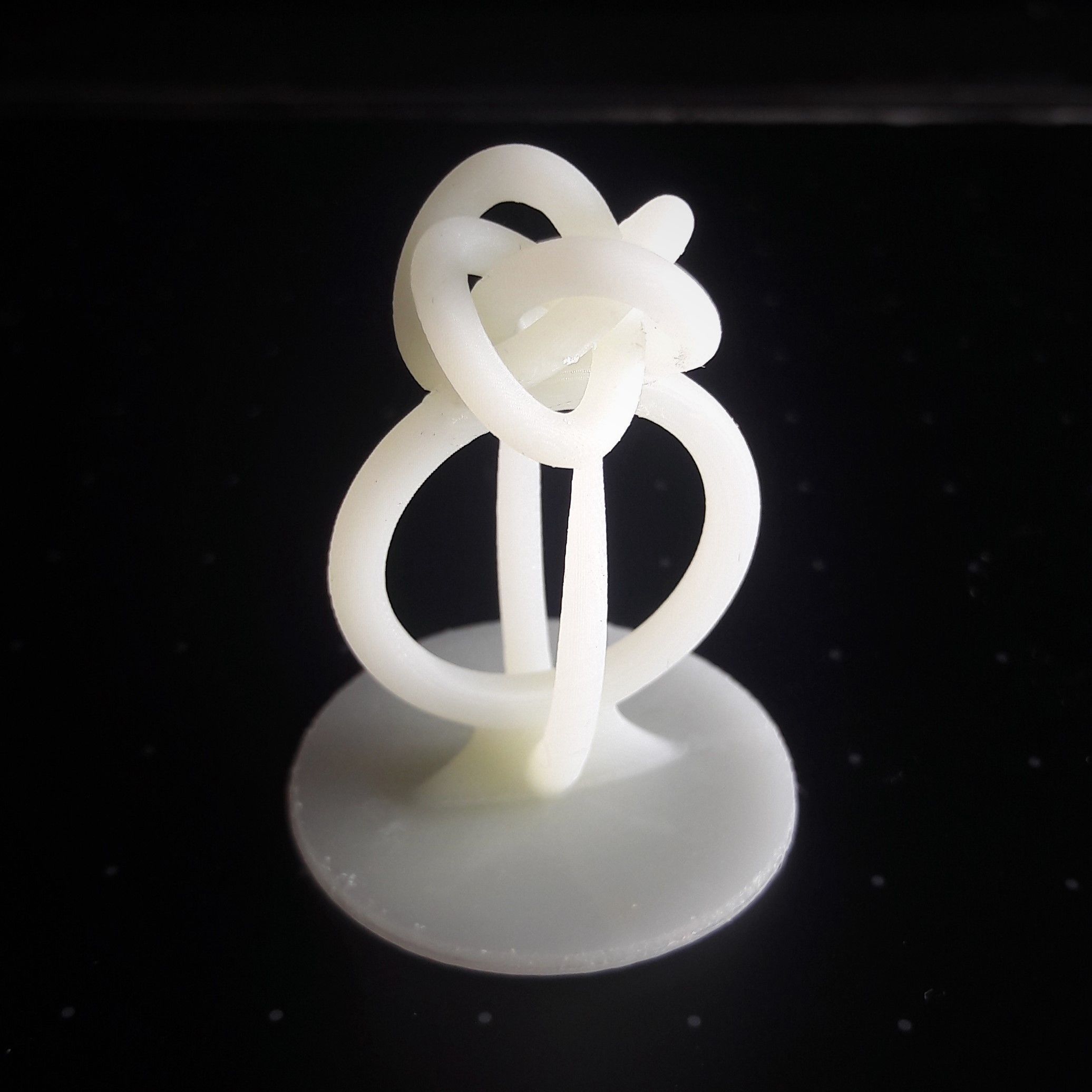 Perfect Knot Ring 3D print model_9