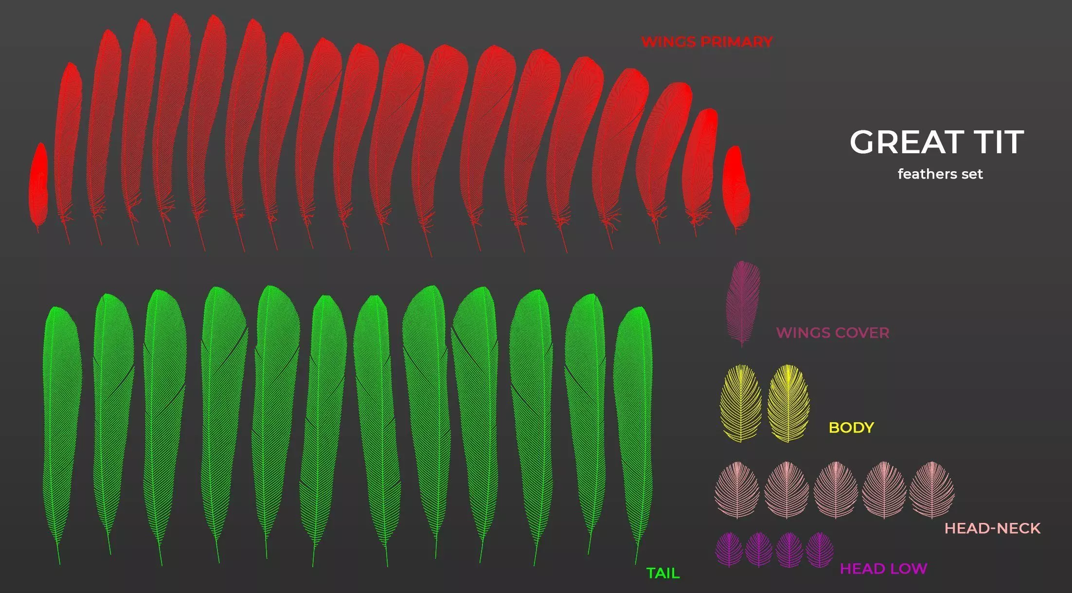 Feathers Set of Great Tit 3D model_0