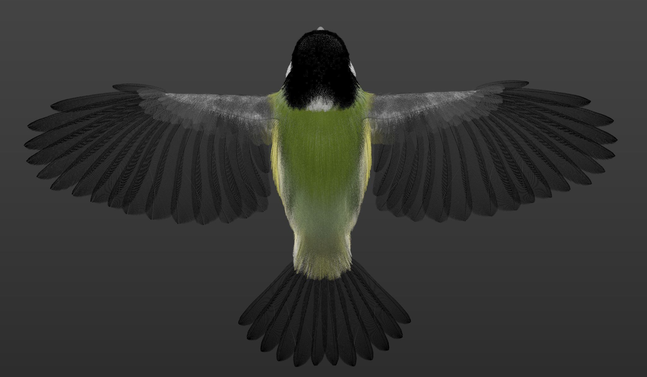 Feathers Set of Great Tit 3D model_1