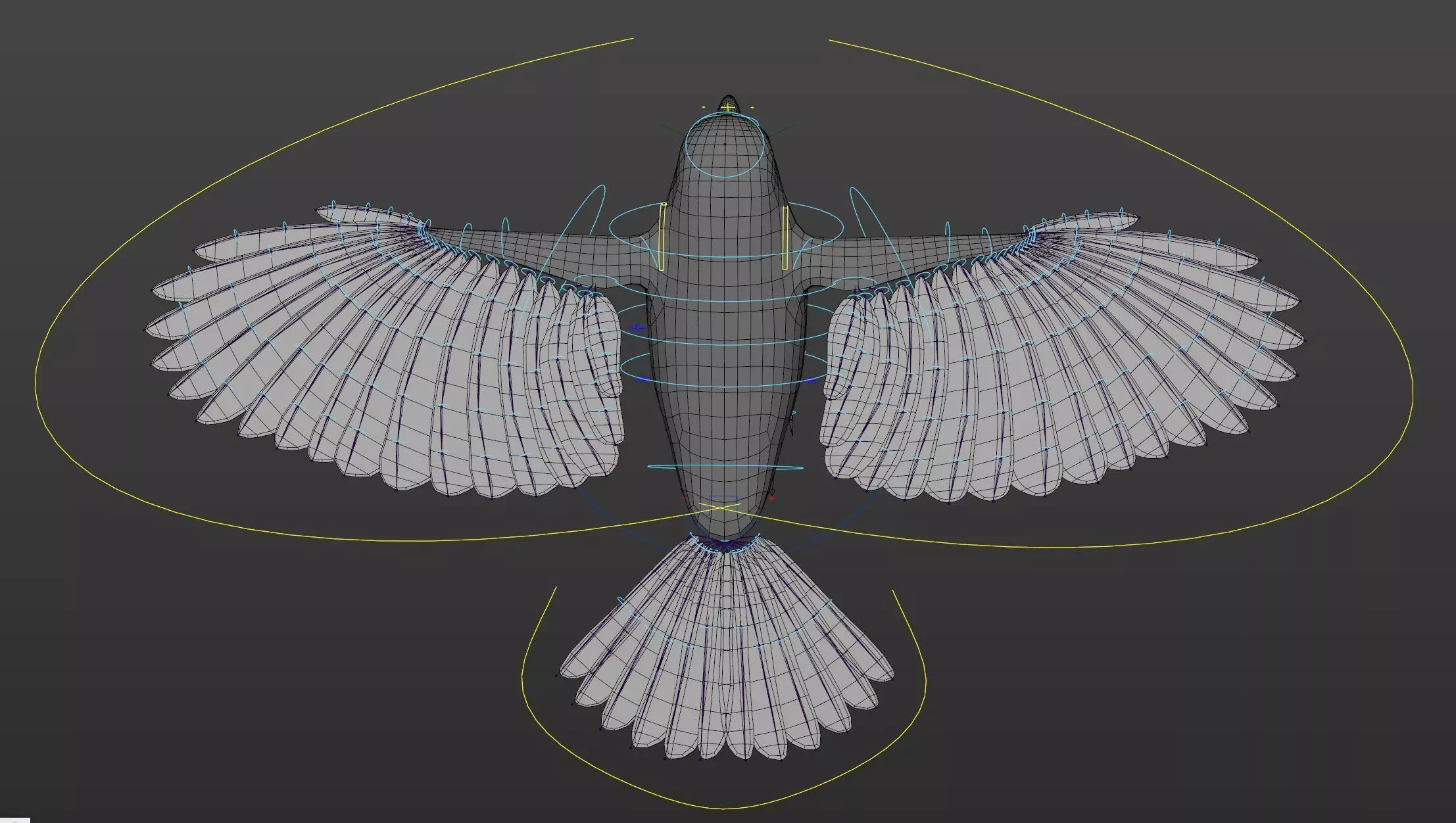 Great Tit- Body Mesh with rig and shaders 3D model