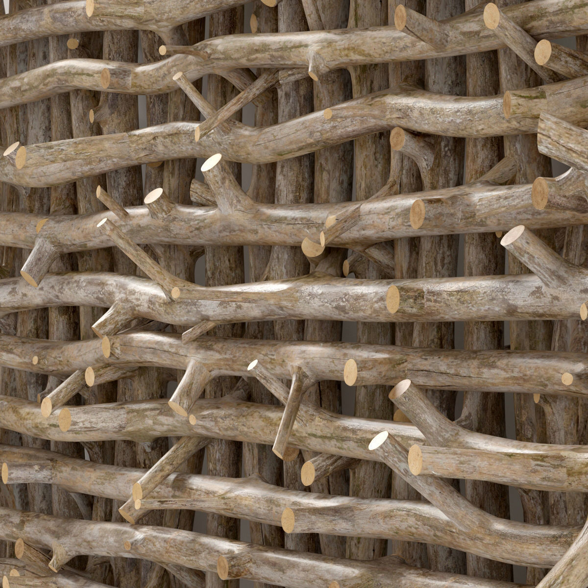 Branch thick decor fundament n2  3D model_4