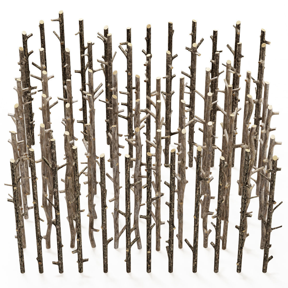 Branch thick decor fundament n2  3D model_5