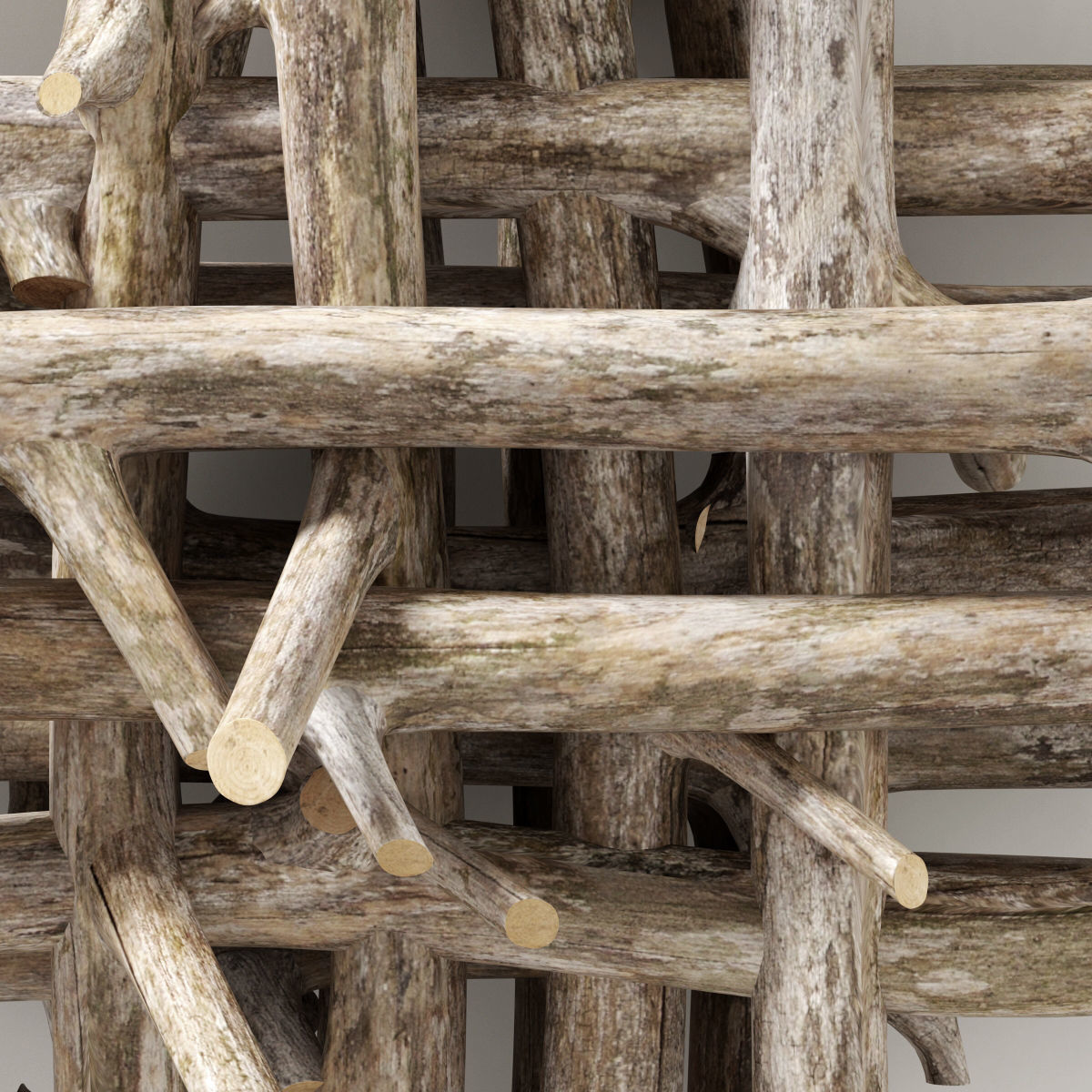 Branch thick decor fundament n2  3D model_3