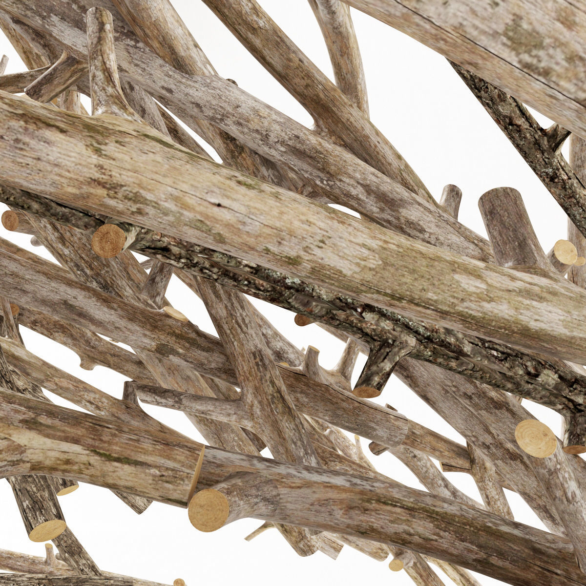 Branch thick decor fundament n2  3D model_7