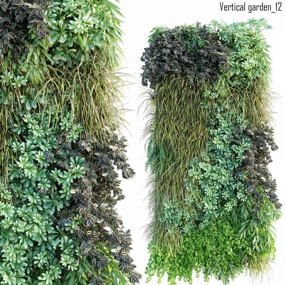 Vertical garden 12 3D model_0