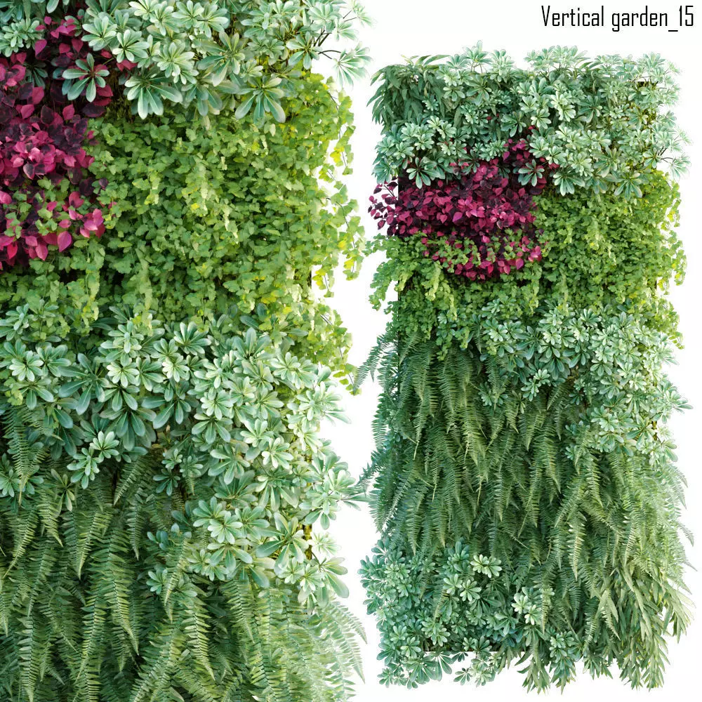 Vertical garden 15 3D model_0