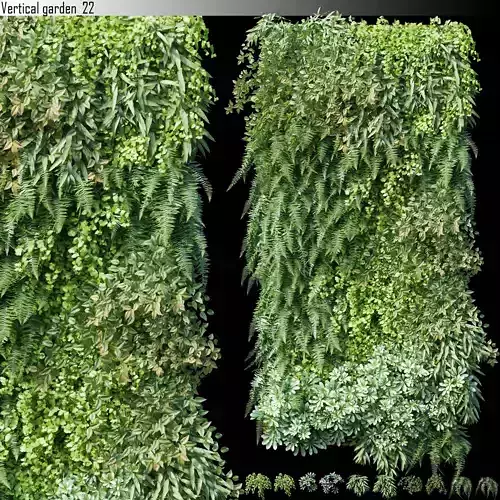 Vertical garden 22