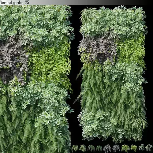 Vertical garden 25