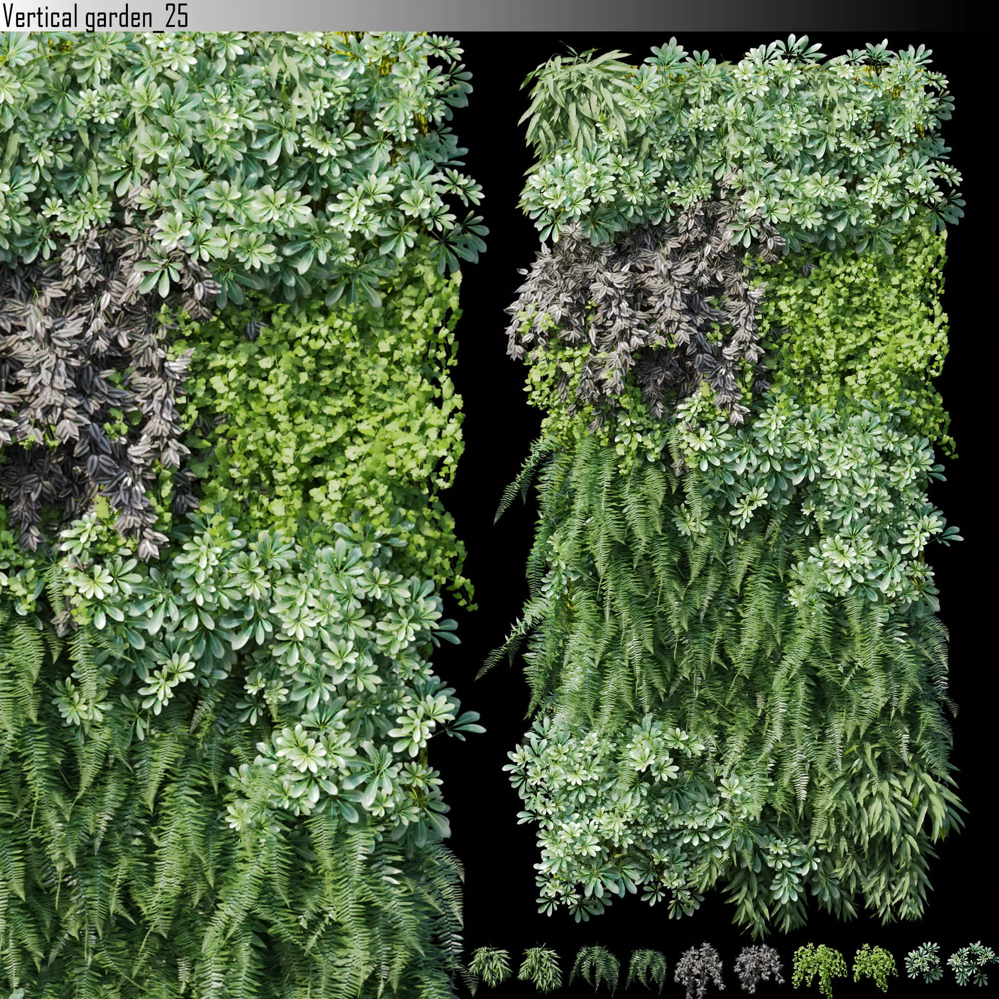 Vertical garden 25 3D model_0