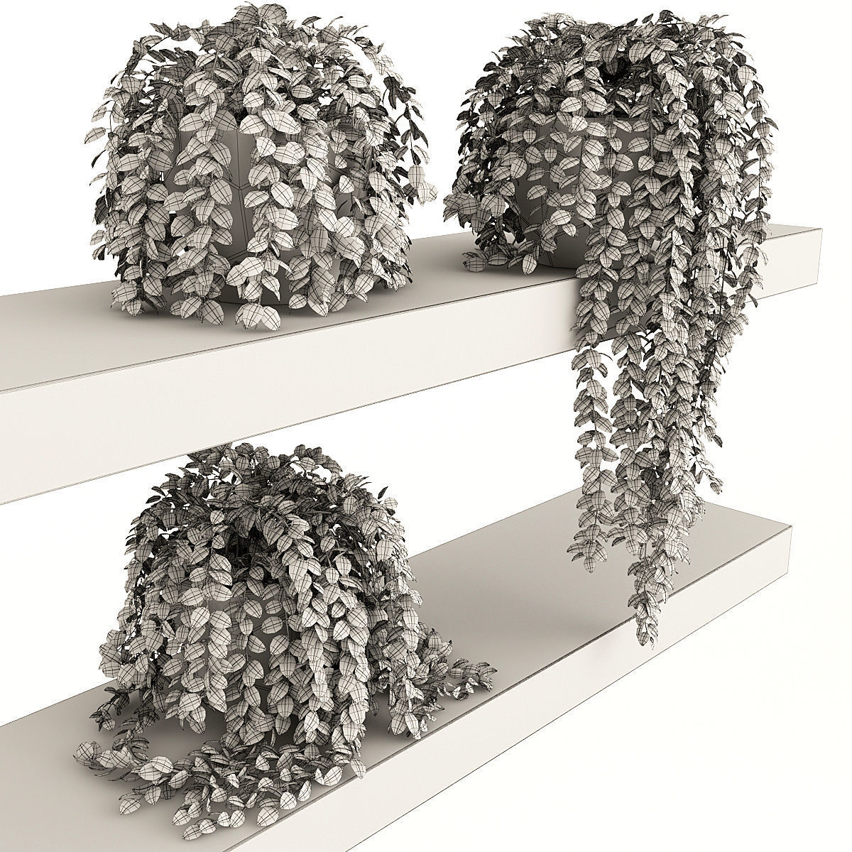 Plants 3 three potted on shelf 3D model_3