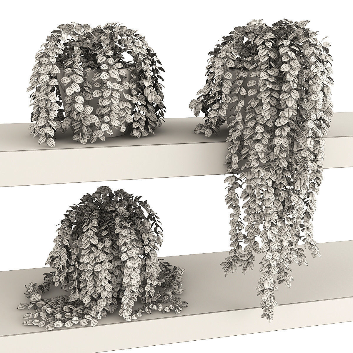 Plants 3 three potted on shelf 3D model_1