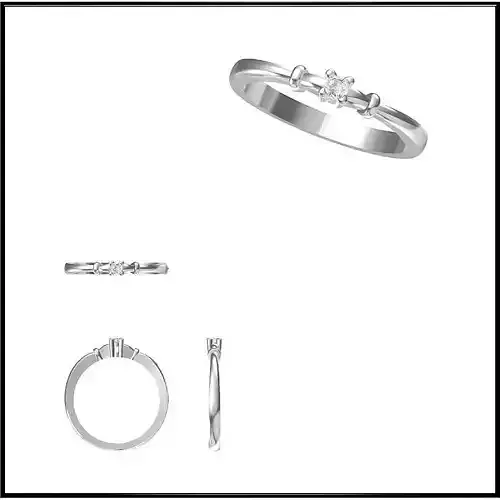 JCD Format Minimalist solitaire rings rhinoceros  jewelry design