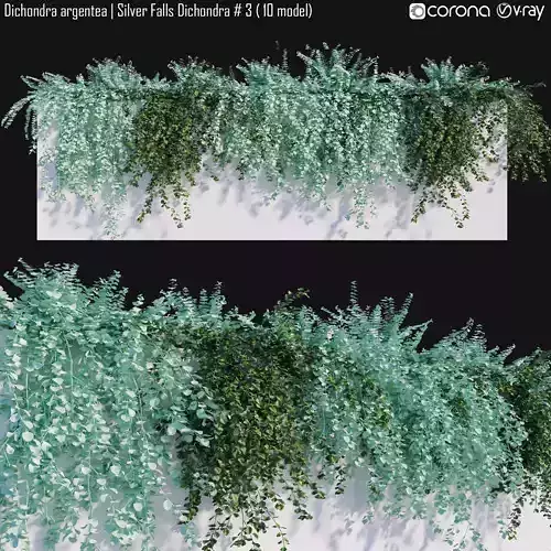 Dichondra argentea - Silver Falls Dichondra 4 - 10 model