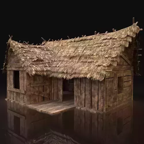 AAA Next Gen Thatched Wooden House Cottage Hut Low-poly 3D model