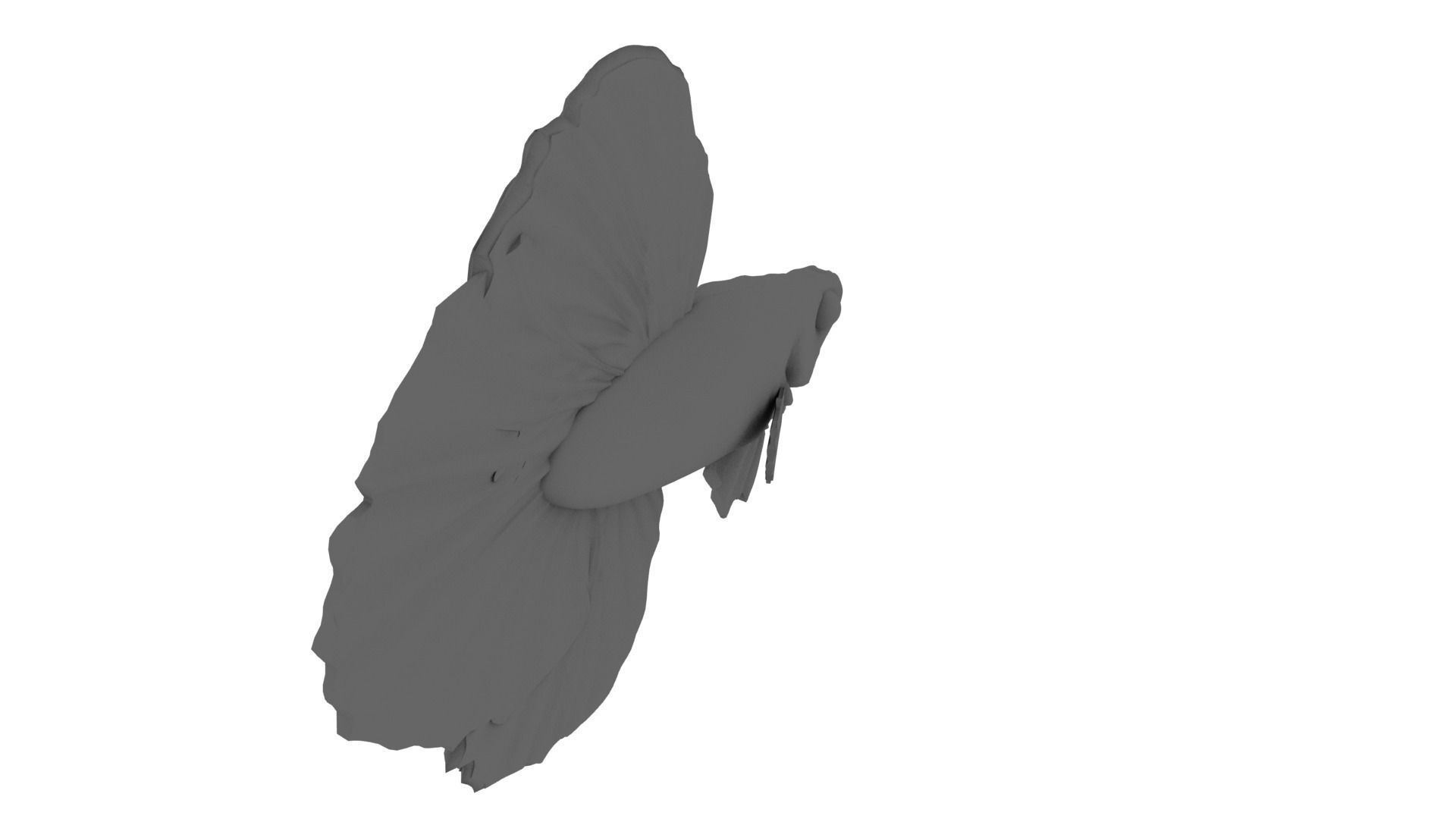 Japanese Fighting Fish 3D model_3