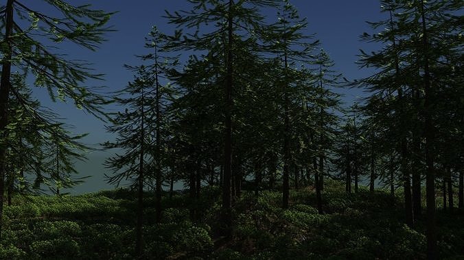 Oak tree 3d model with rigging  Free 3D model