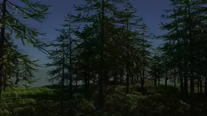 Oak tree 3d model with rigging  Free 3D model