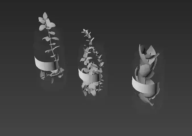 interior plants in bottle