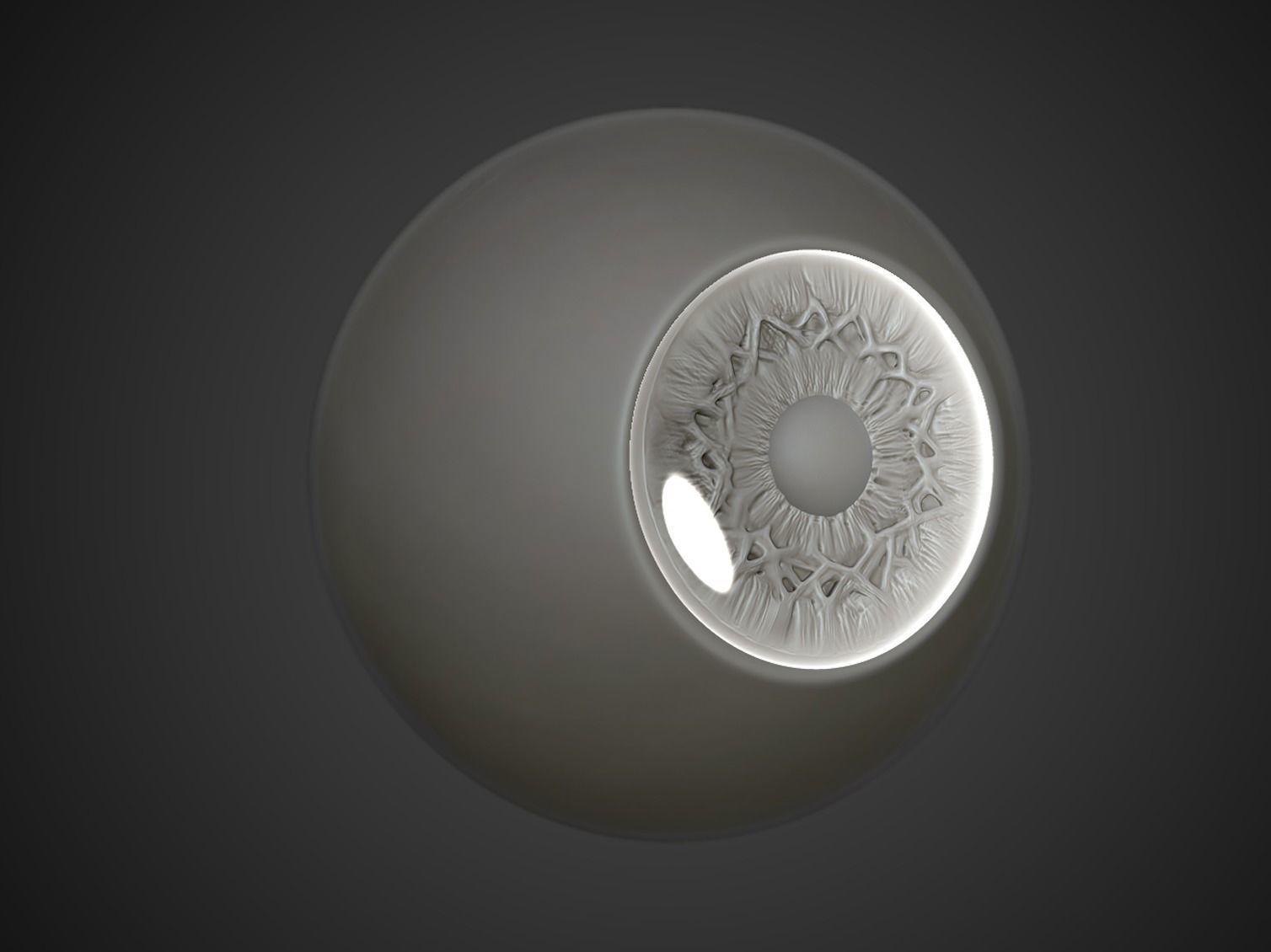 Eye Realistic wall light with circular design 3D model_6