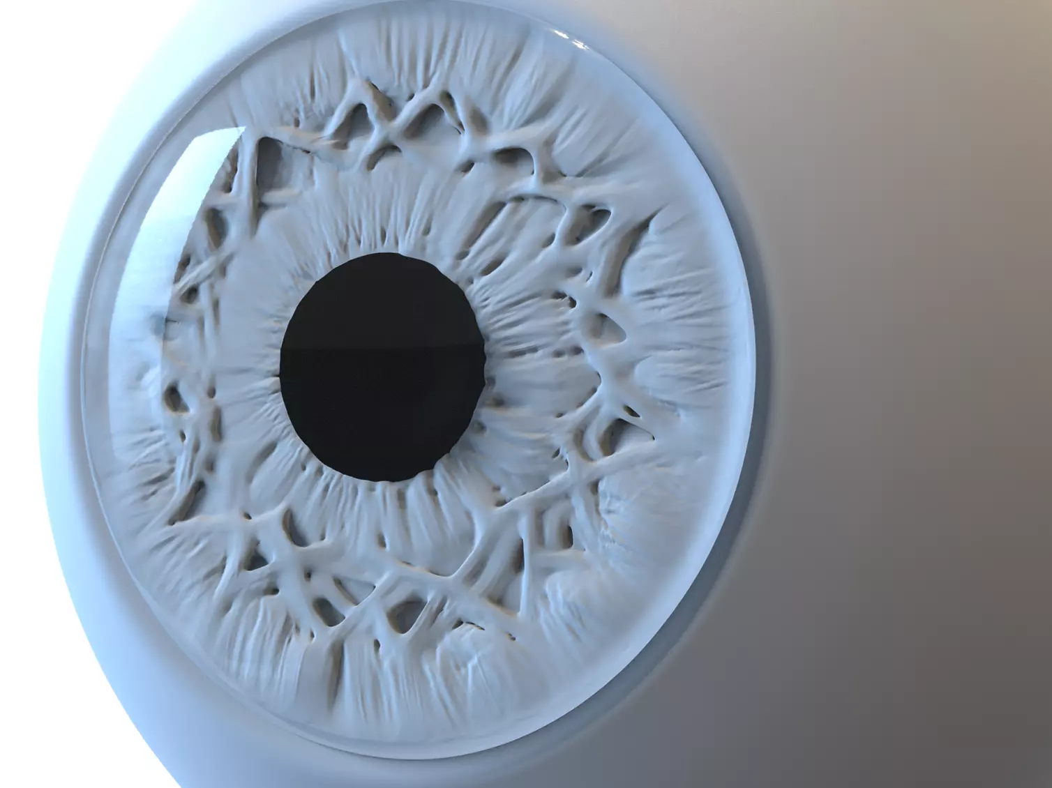 Eye Realistic wall light with circular design 3D model_0