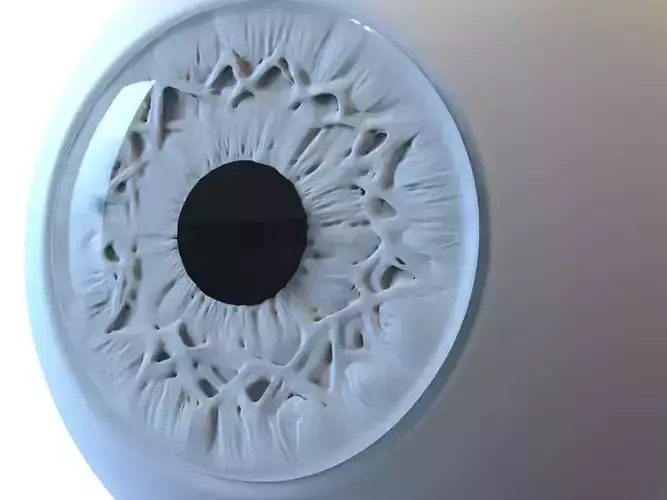 Eye Realistic wall light with circular design 3D model