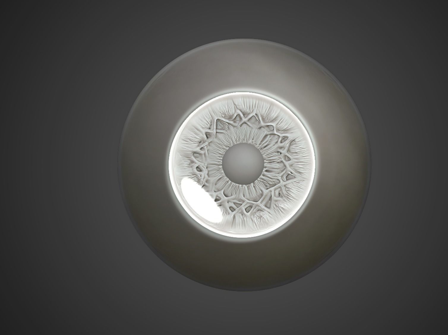 Eye Realistic wall light with circular design 3D model_7