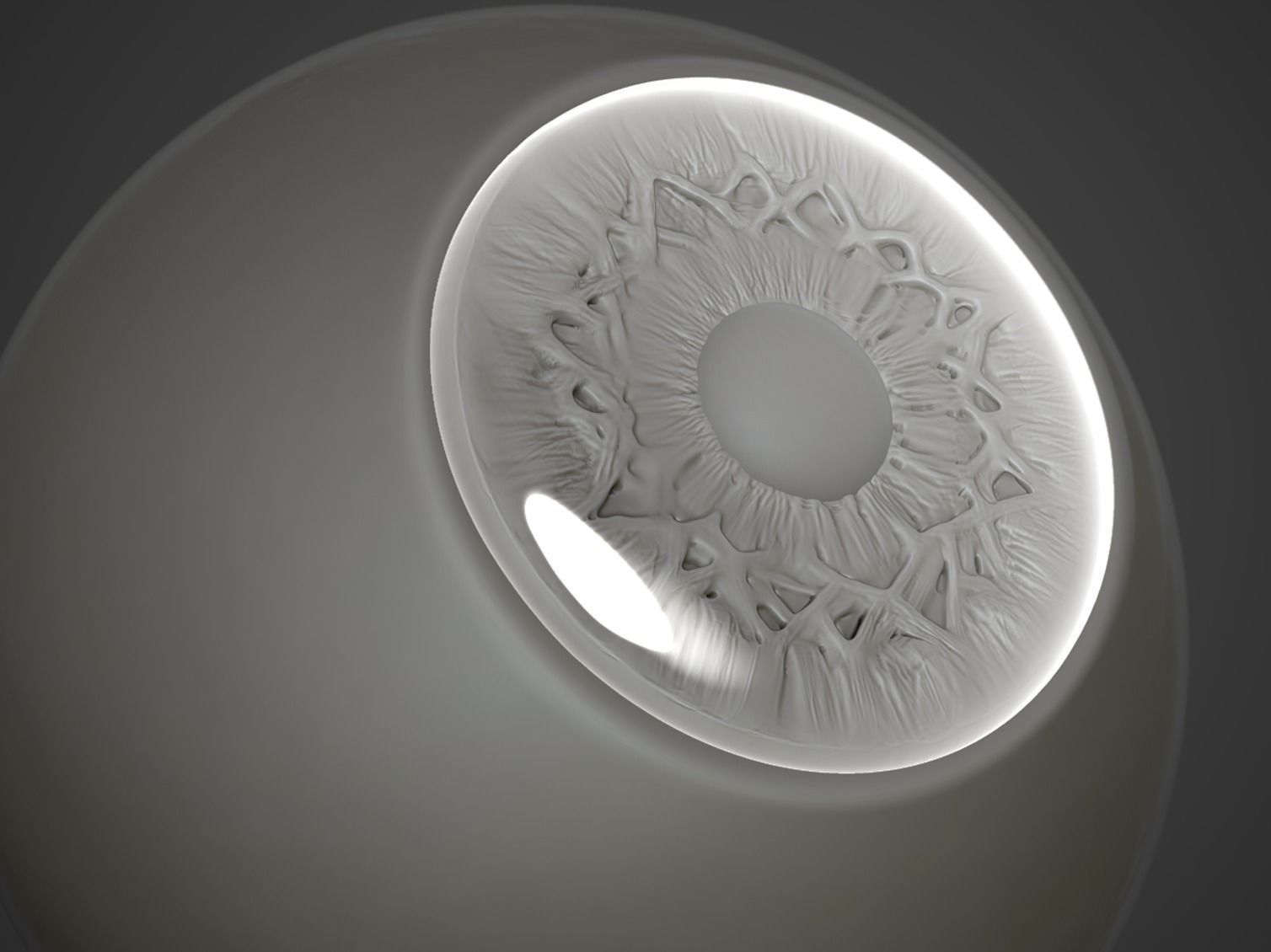 Eye Realistic wall light with circular design 3D model_3