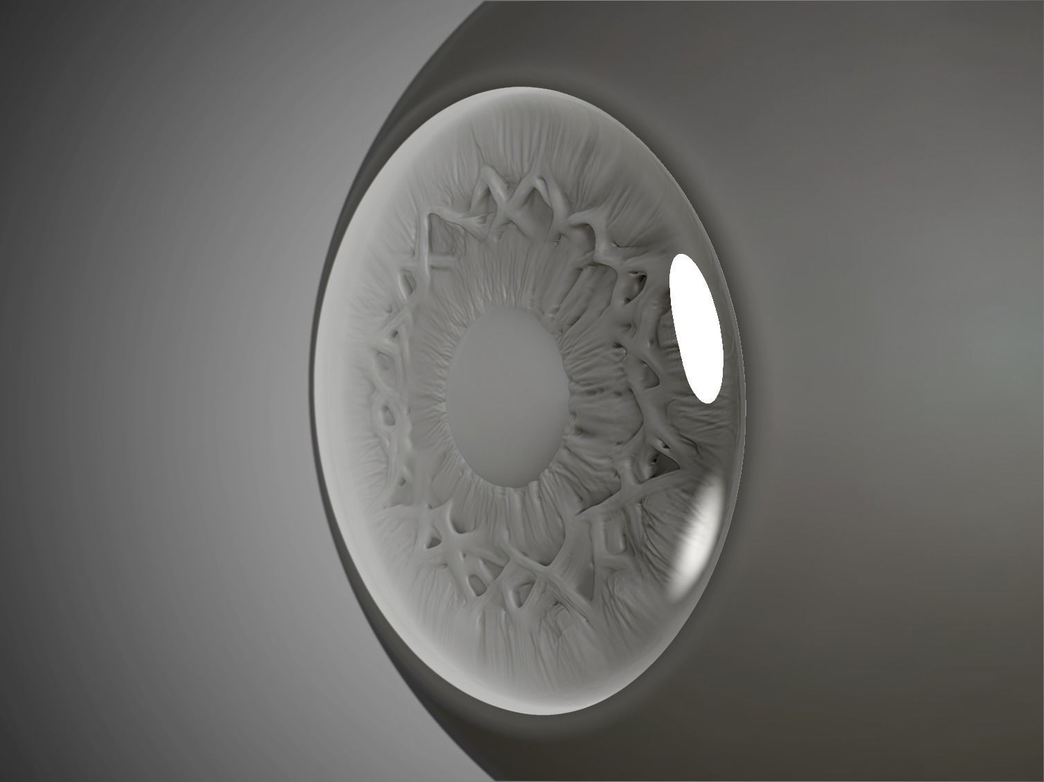Eye Realistic wall light with circular design 3D model_4