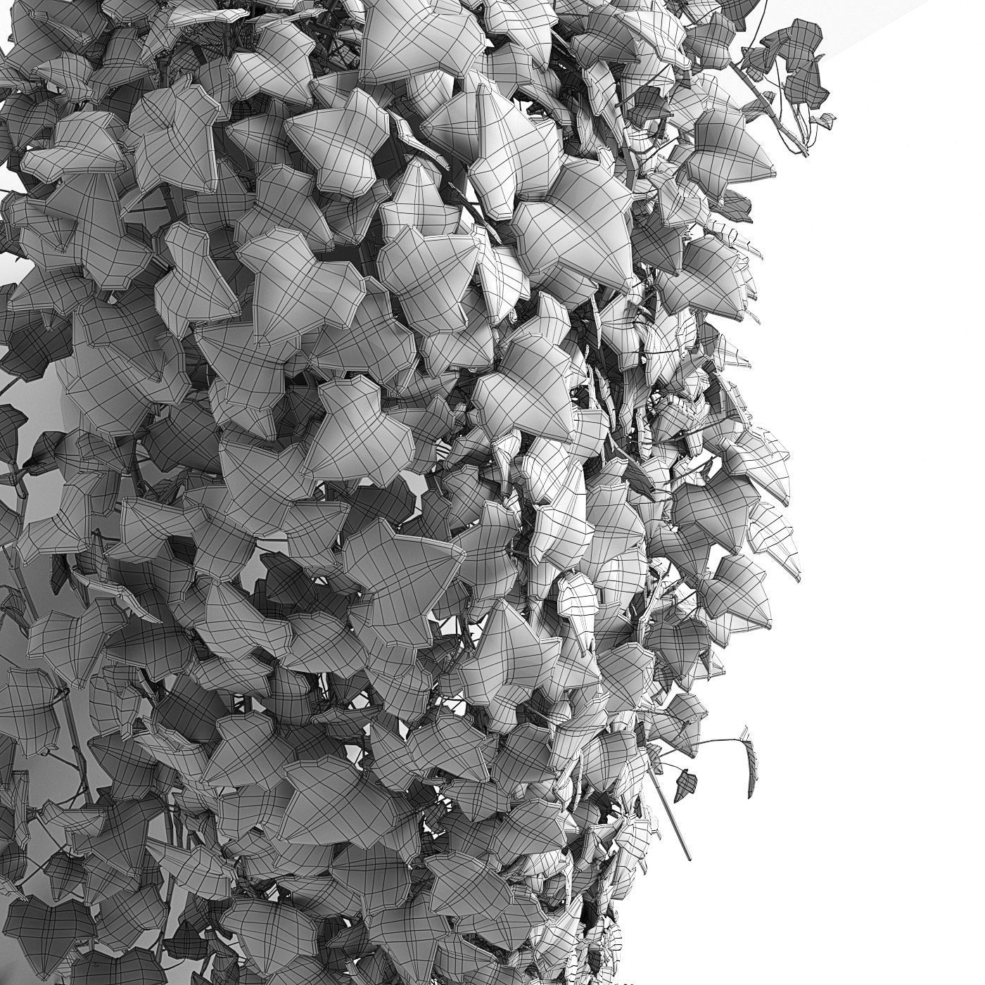 Hedera helix wonder long 3D model_7