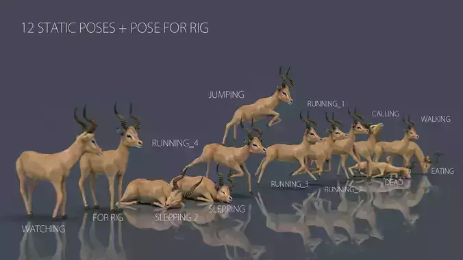 IMPALA POSES Low-poly 3D model
