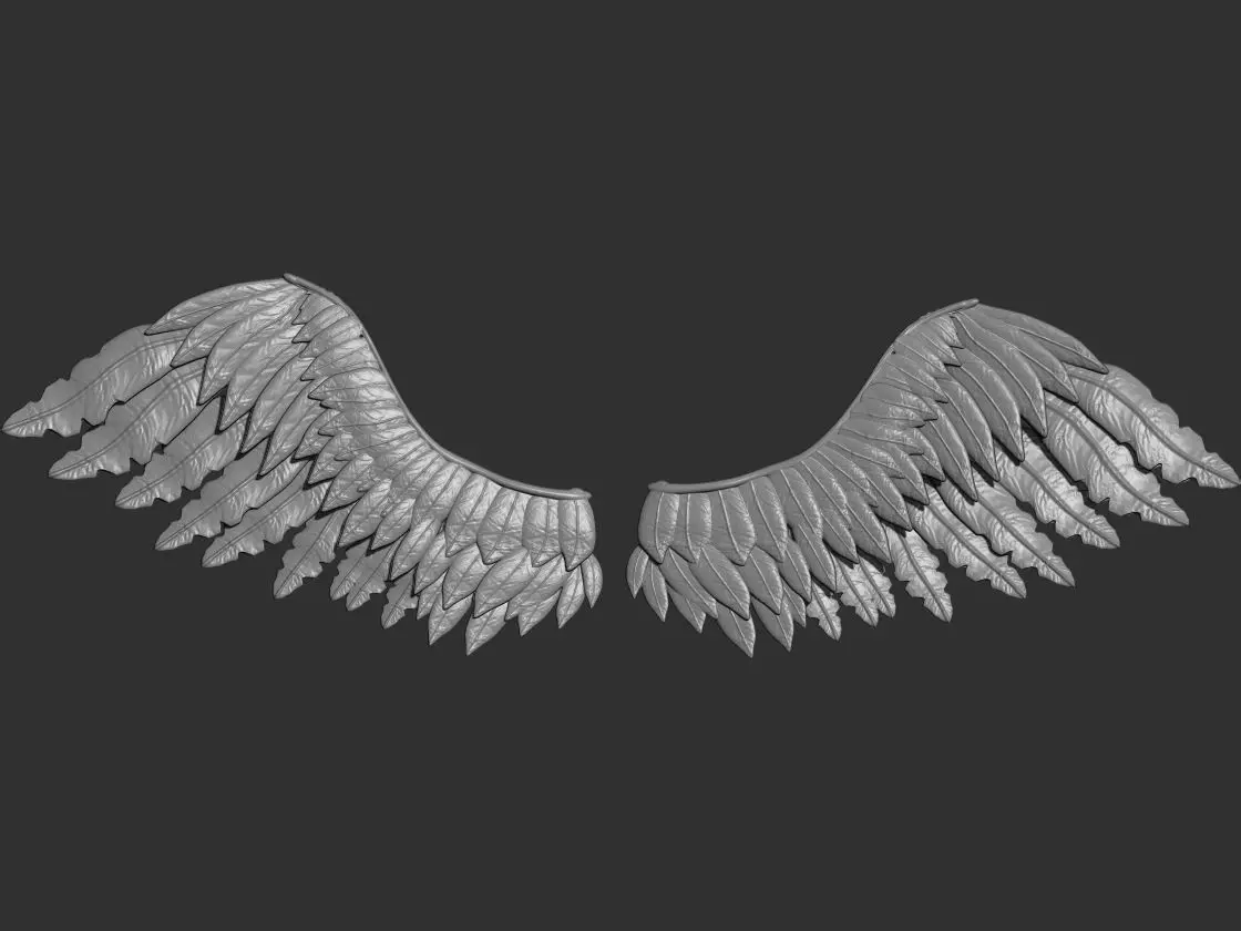 The Wings pair of angel 3D print model