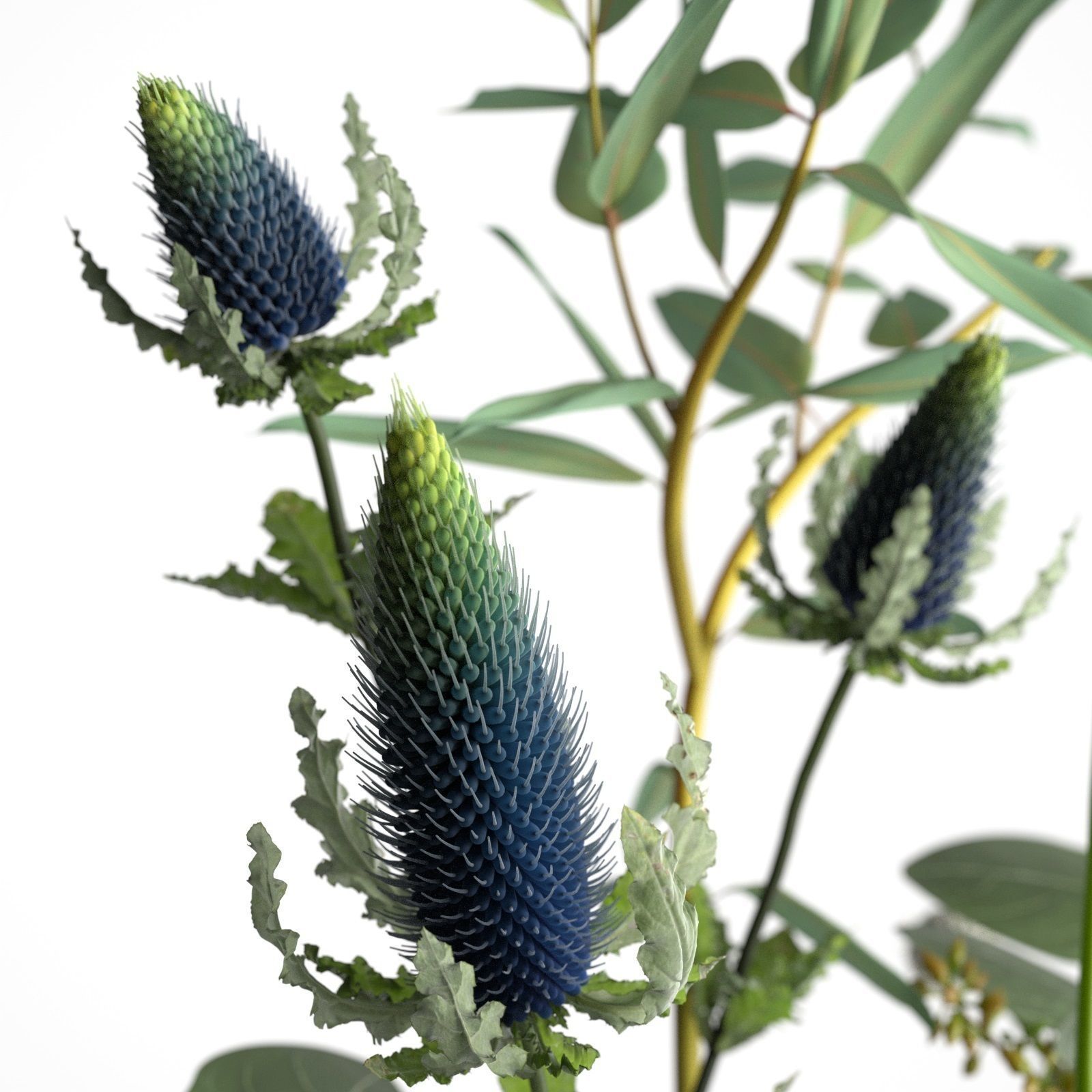 Omaggio Vases with Flowers 3D model_2