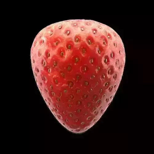 Strawberry close up of 3D model