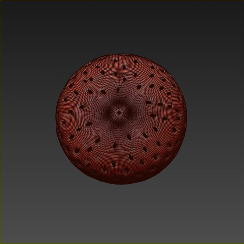 Strawberry close up of 3D model_6