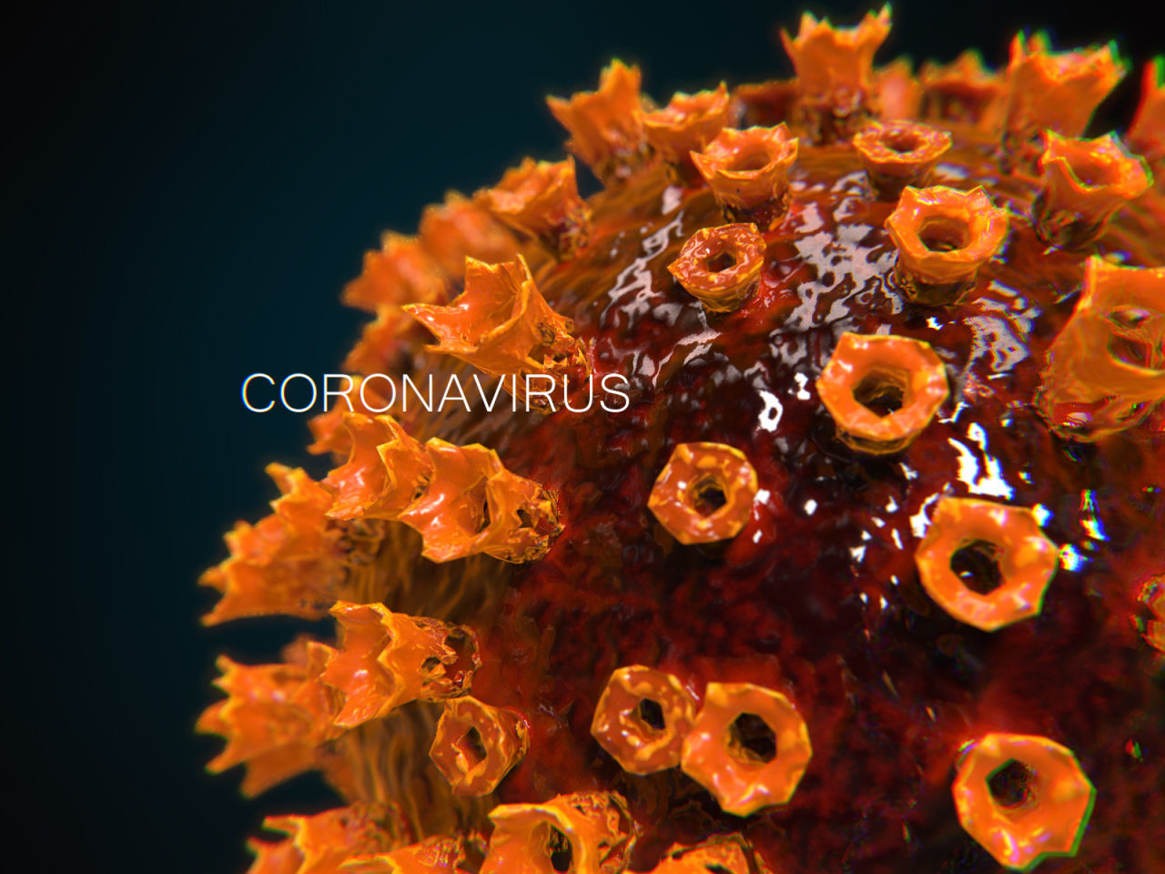 COVID-19 coronavirus PBR Low-poly 3D model_1