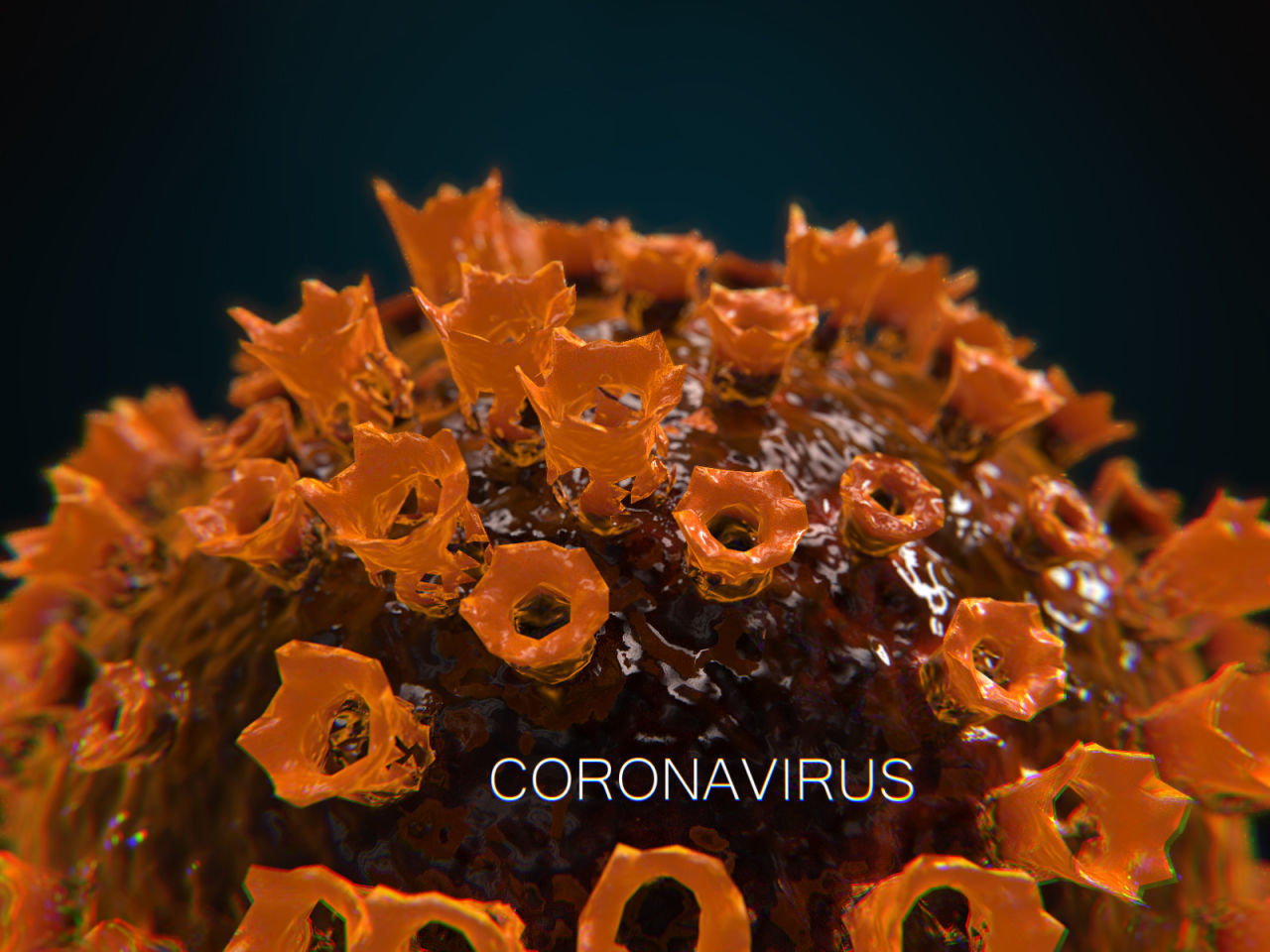 COVID-19 coronavirus PBR Low-poly 3D model_4