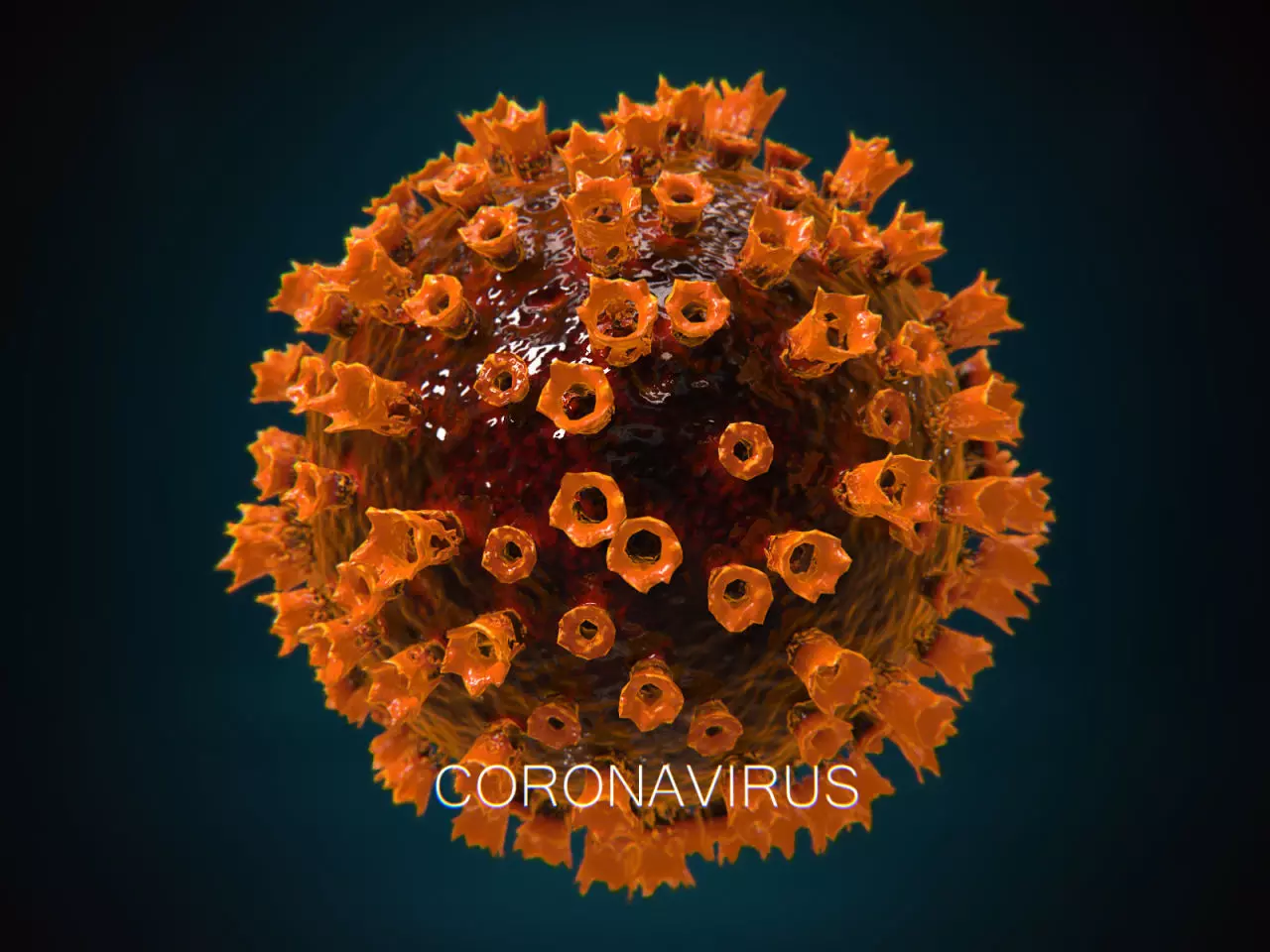 COVID-19 coronavirus PBR Low-poly 3D model_0