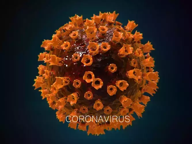 COVID-19 coronavirus PBR Low-poly 3D model