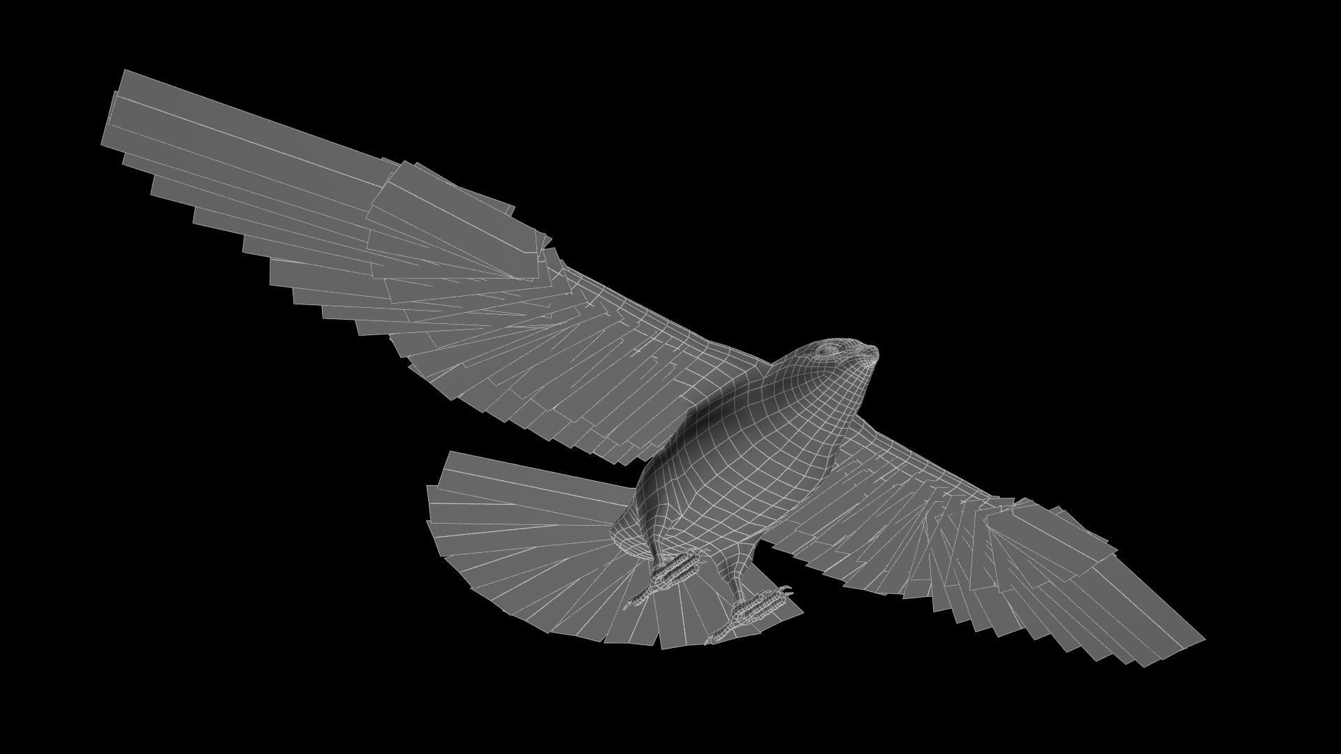 Falcon in flight Low-poly 3D model_12