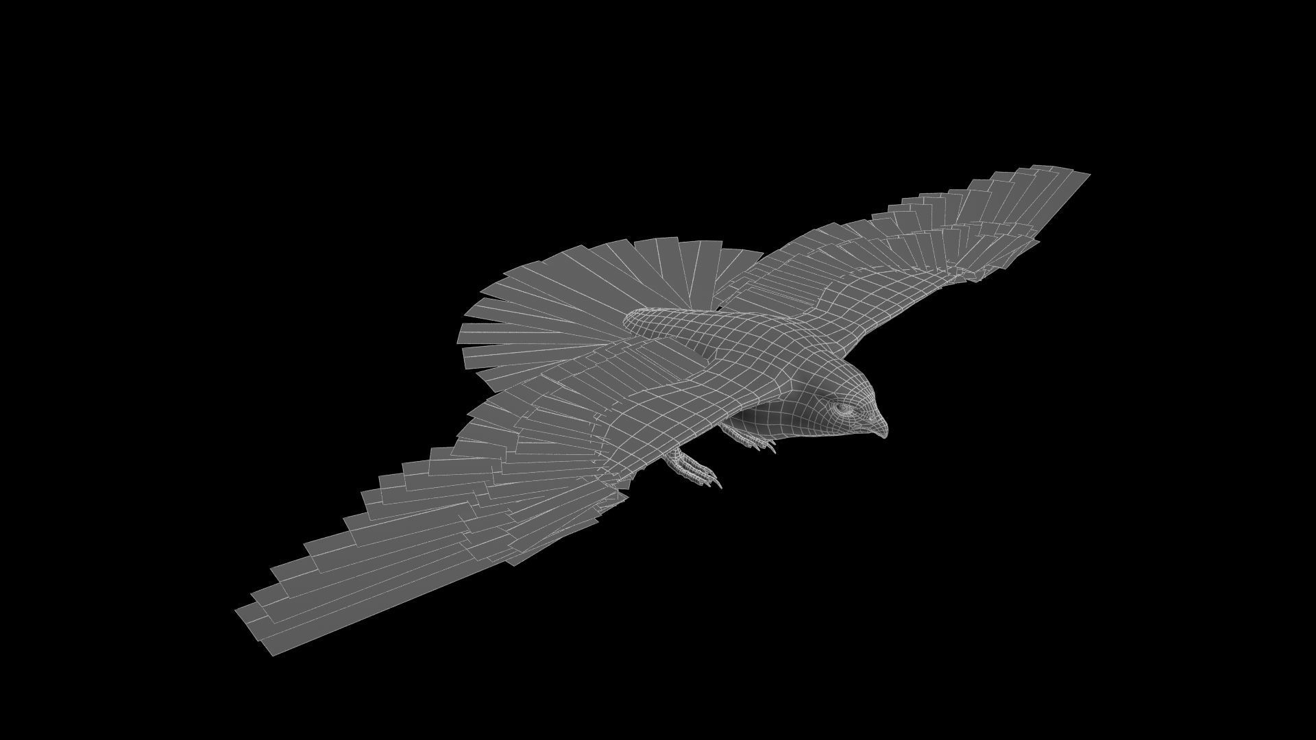 Falcon in flight Low-poly 3D model_11