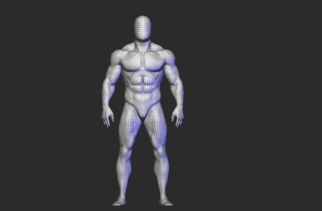 anatomy scultping  Free low-poly 3D model_15