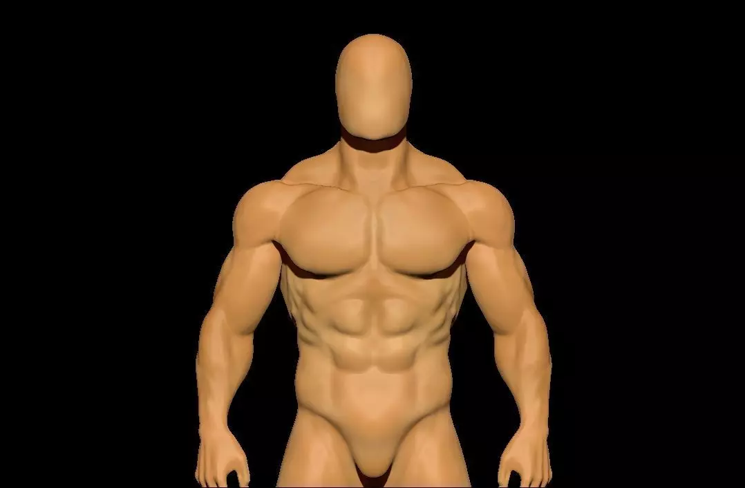 anatomy scultping  Free low-poly 3D model_0