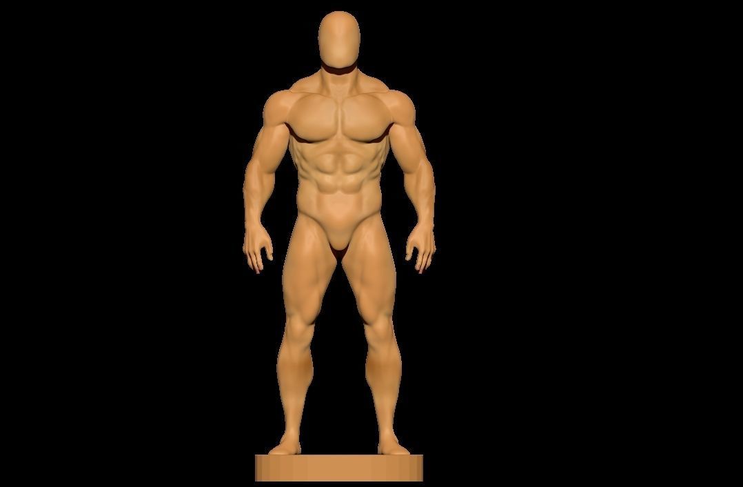 anatomy scultping  Free low-poly 3D model_6