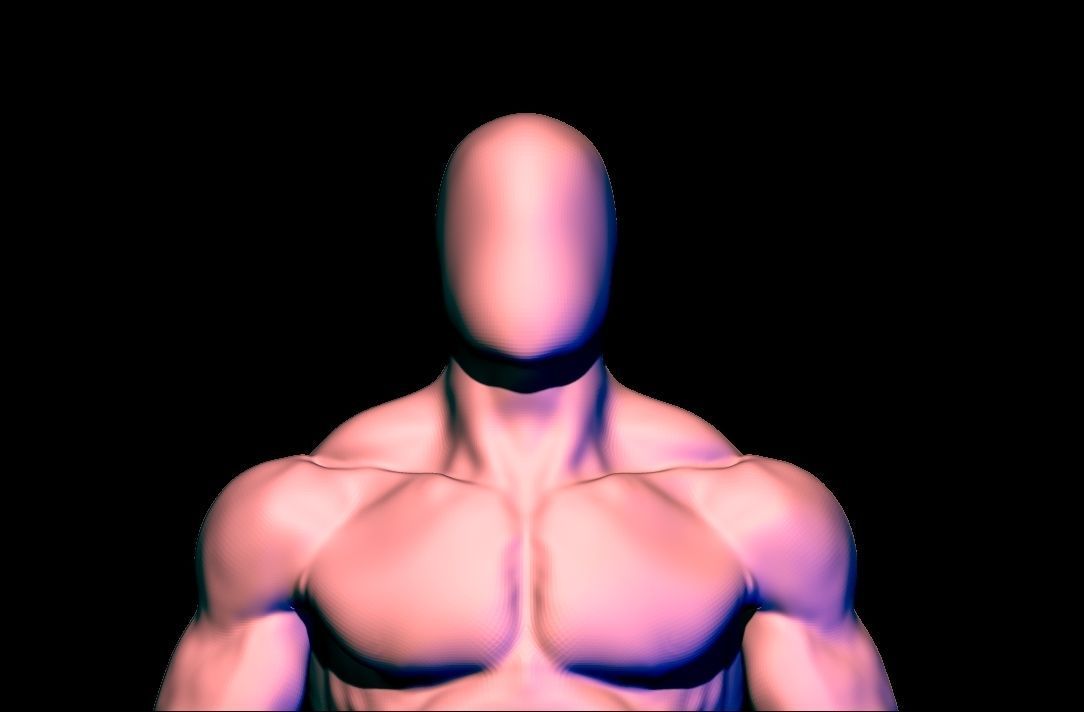 anatomy scultping  Free low-poly 3D model_11